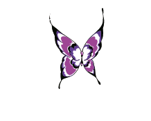 Reception Dolce Vita